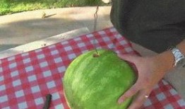 今日吃瓜感悟,品味人间百态