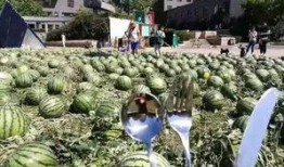 朝阳吃瓜网,揭秘娱乐圈最新热点，带你领略明星幕后故事