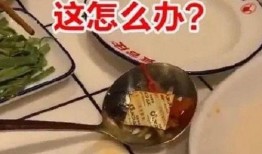 最新爆料 吃料,最新爆料揭示吃料背后的惊人真相！